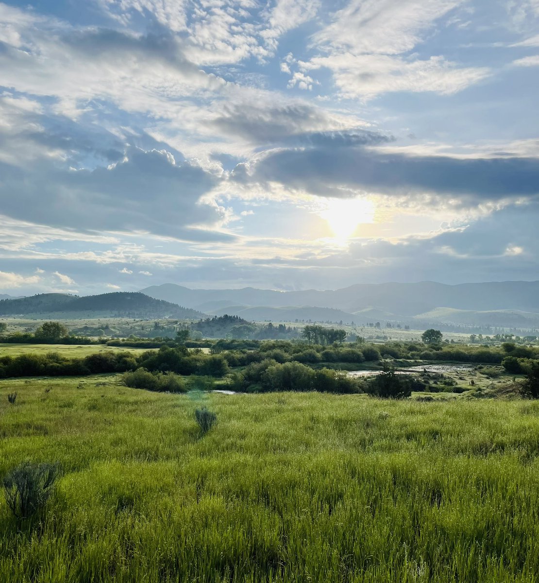 dylanbriscall's tweet image. A forgotten melody drifts through, awakening colors unseen for centuries.  

#GoCreate #GritvsAI #Creativity #Inspiration