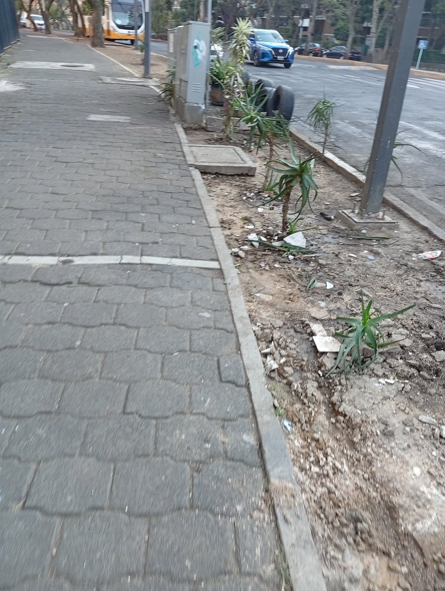 TiaLolo80s's tweet photo. @Gabyosoriohdz URGE APOYO D PATRULLA SECTOR FUENTES

Vecinxs Bloque B tomaron iniciativa p/quitar tiradero d basura, plantaron savilas y se están quedando noches y madrugadas a cuidar q no lleguen a dejar basura 
Envien patrulla q se supone q debe estar en el módulo

ANTES     //     AHORA https://t.co/pNSozNpZJi