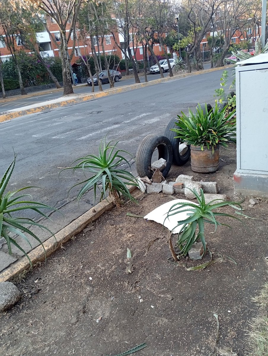 TiaLolo80s's tweet photo. @Gabyosoriohdz URGE APOYO D PATRULLA SECTOR FUENTES

Vecinxs Bloque B tomaron iniciativa p/quitar tiradero d basura, plantaron savilas y se están quedando noches y madrugadas a cuidar q no lleguen a dejar basura 
Envien patrulla q se supone q debe estar en el módulo

ANTES     //     AHORA https://t.co/pNSozNpZJi