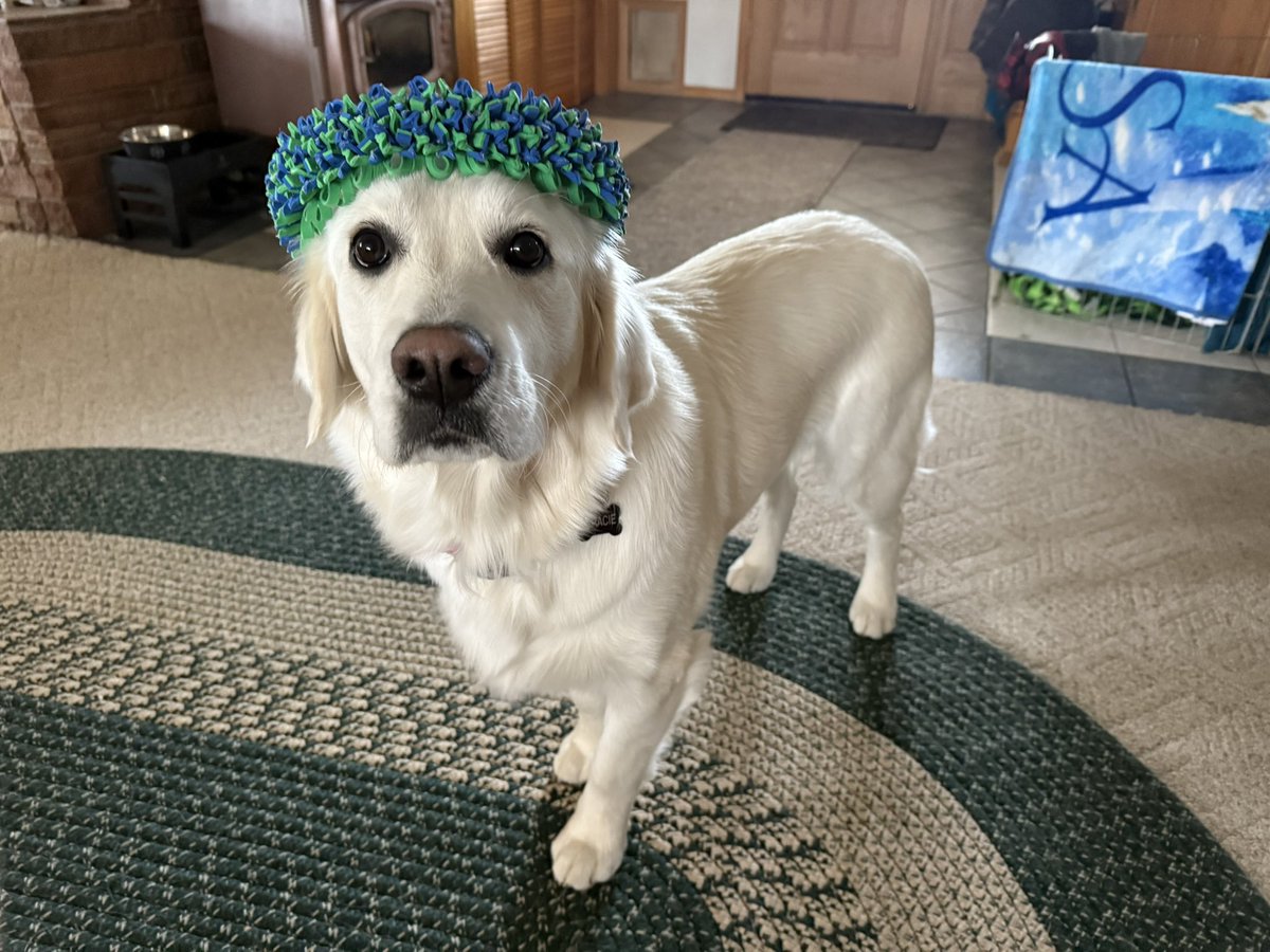 MountainHigh tweet media