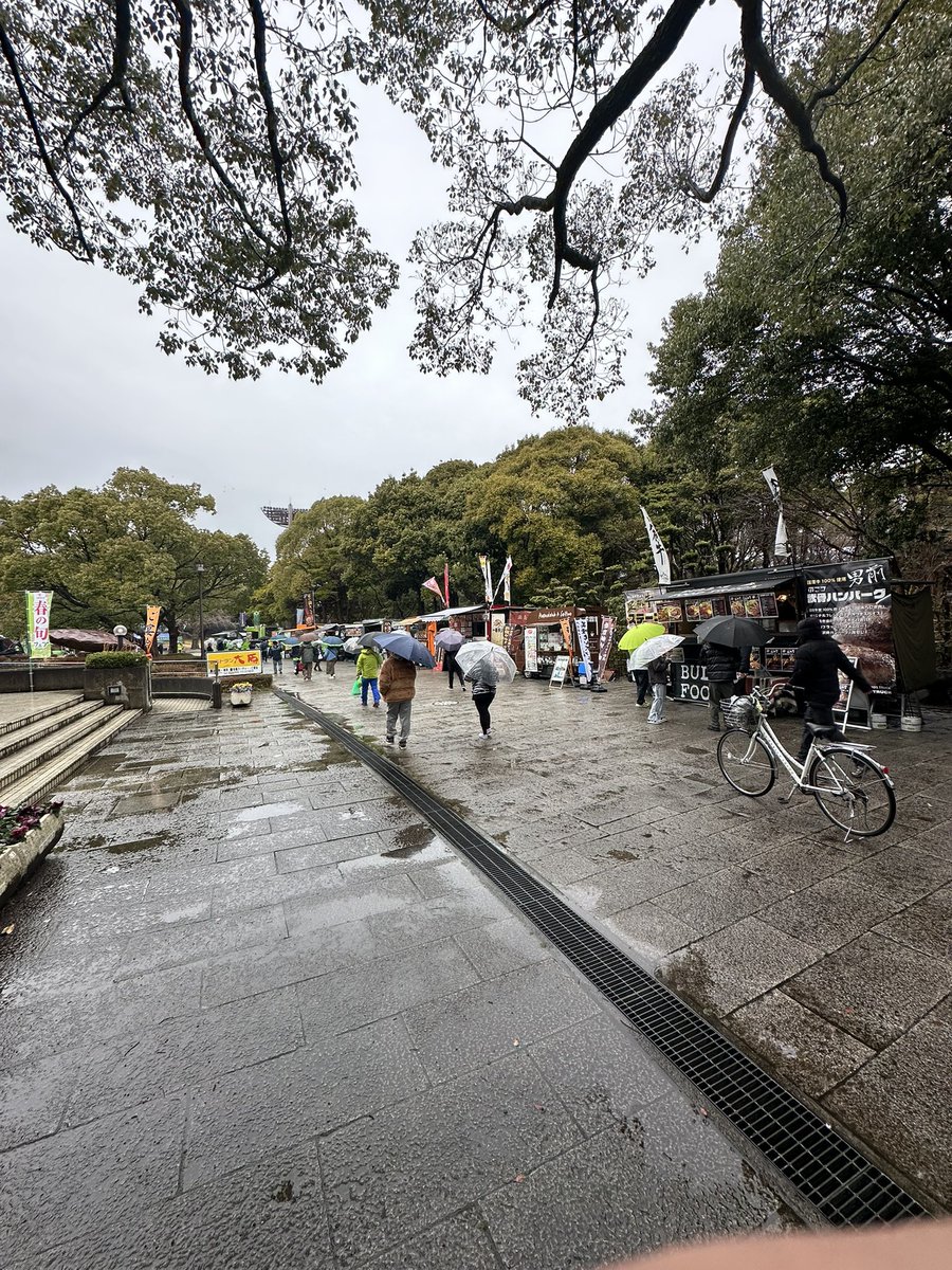 Shallow Bee tweet media