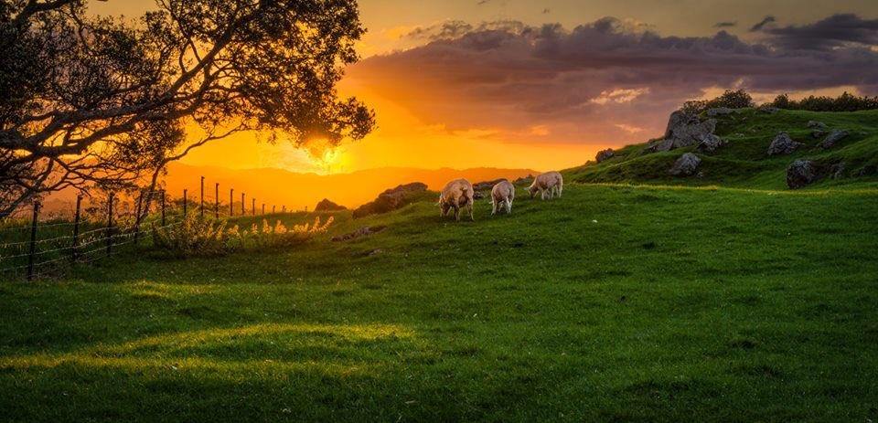 @richardjcatherall.bsky.social tweet media