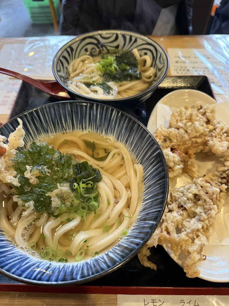 Naccyo_'s tweet photo. めっちゃ久しぶり~!!
初めて四国に上陸して香川県に2泊3日旅行してきたぁ~
讃岐うどん2回も食べて、ずっと行きたかった猫カフェにも行けて嬉しかった🥹
次は愛媛も高知も徳島も行きたいなぁ💞 https://t.co/dNUqQiJJLK