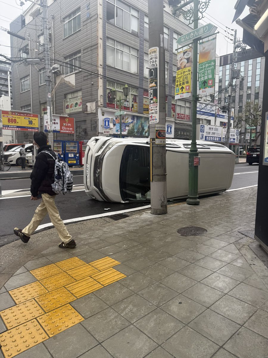 野生のヴェルファイア寝てた