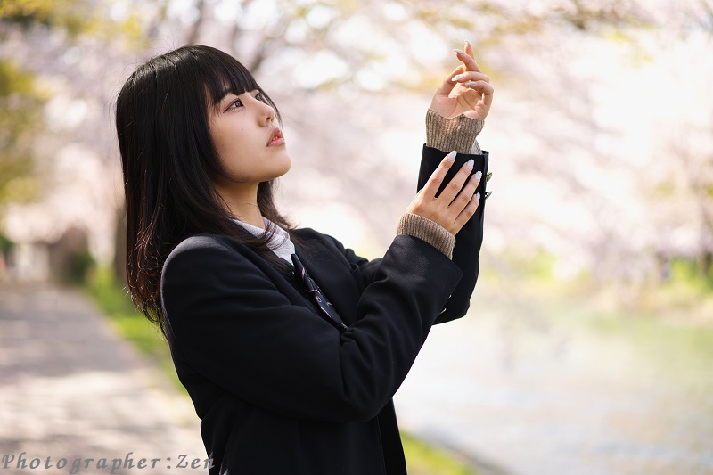 about_and_aout's tweet photo. 今年、桜は撮れるのかしら🌸 https://t.co/2RnYJ2w0Al