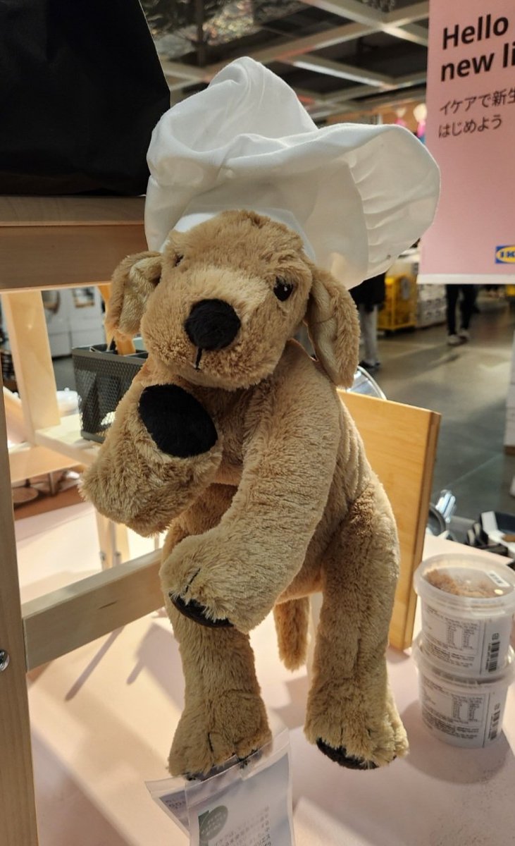 IKEA行ったらいました。
もしかして従業員さんにエンジンいる？？？笑