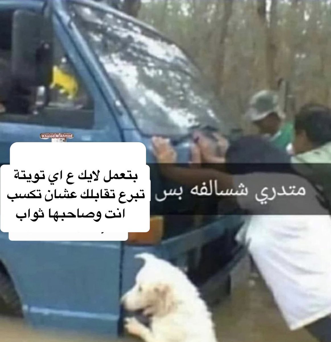 Ayat Soliman (@ayatt94) on Twitter photo 