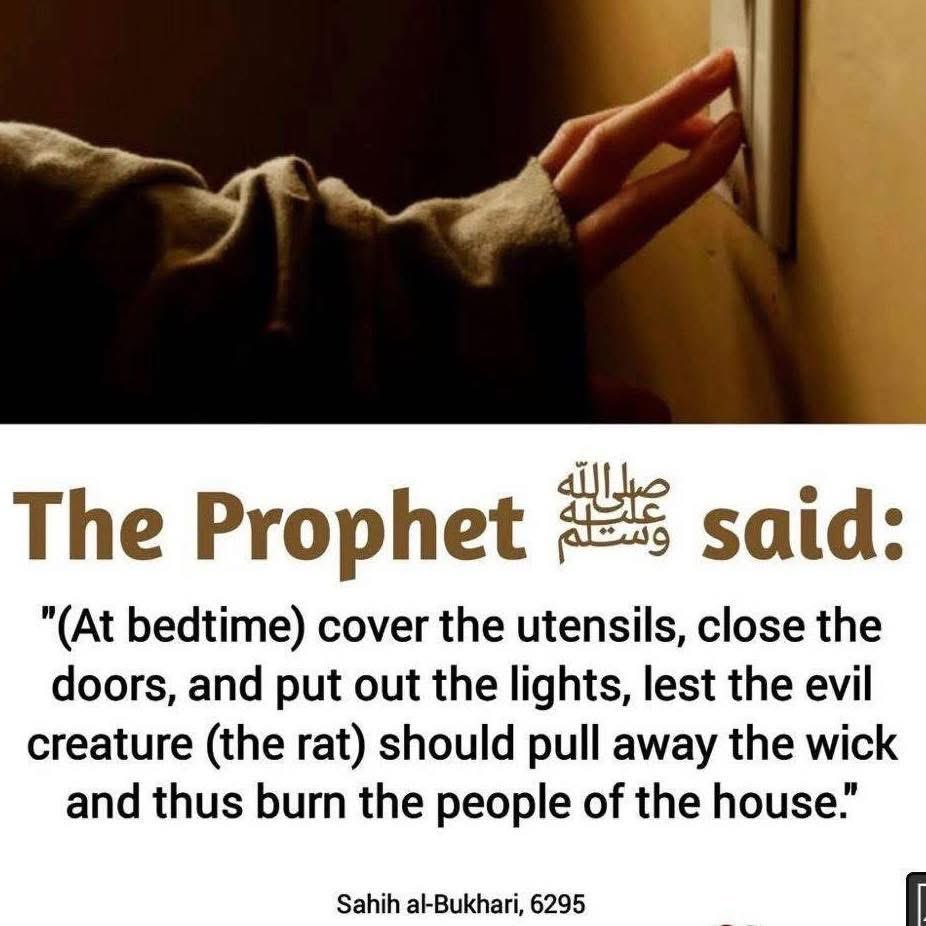 Basheer_ysf's tweet image. The Prophet S.A.W said:👇👇