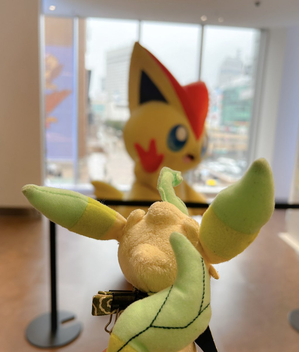 suo_pkm's tweet photo. ビクティニﾊｲﾀｯﾁできるとか聞いてない…ｶﾜｲｲ…😭🥺

#ポケモンセンタートウホク https://t.co/eGFvsjtxrl