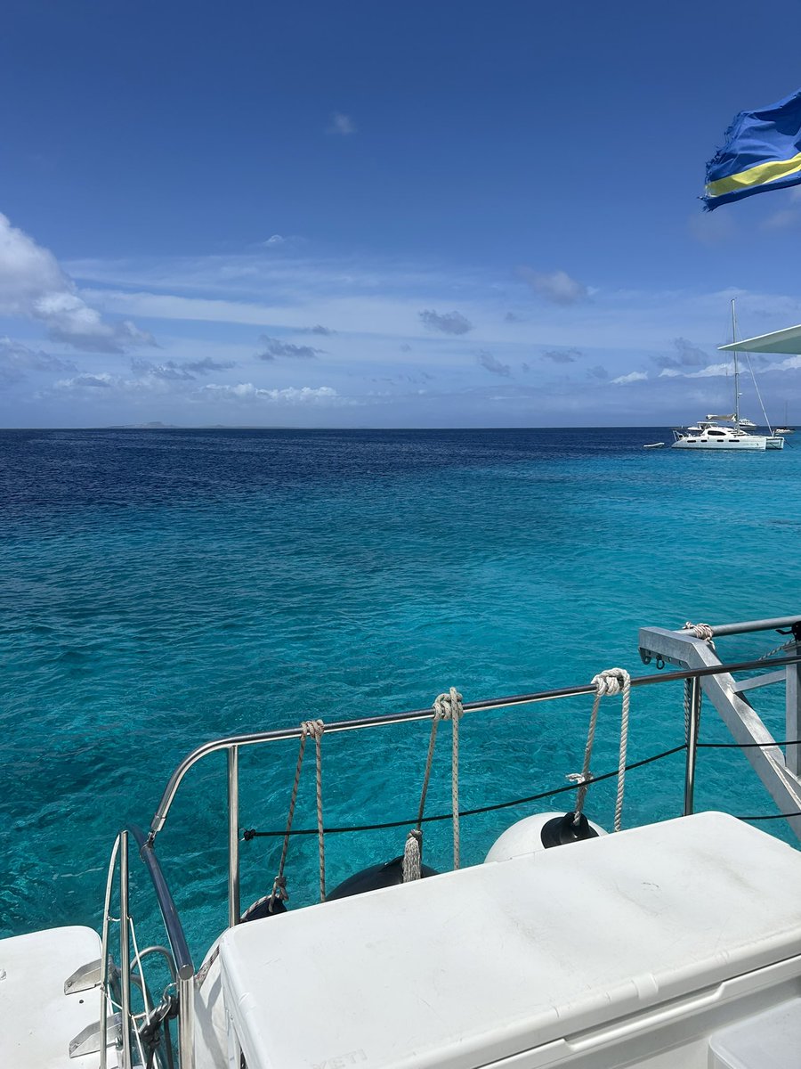 NoChillPhil07's tweet photo. Ayó curaçao https://t.co/xt8UeNW9oG