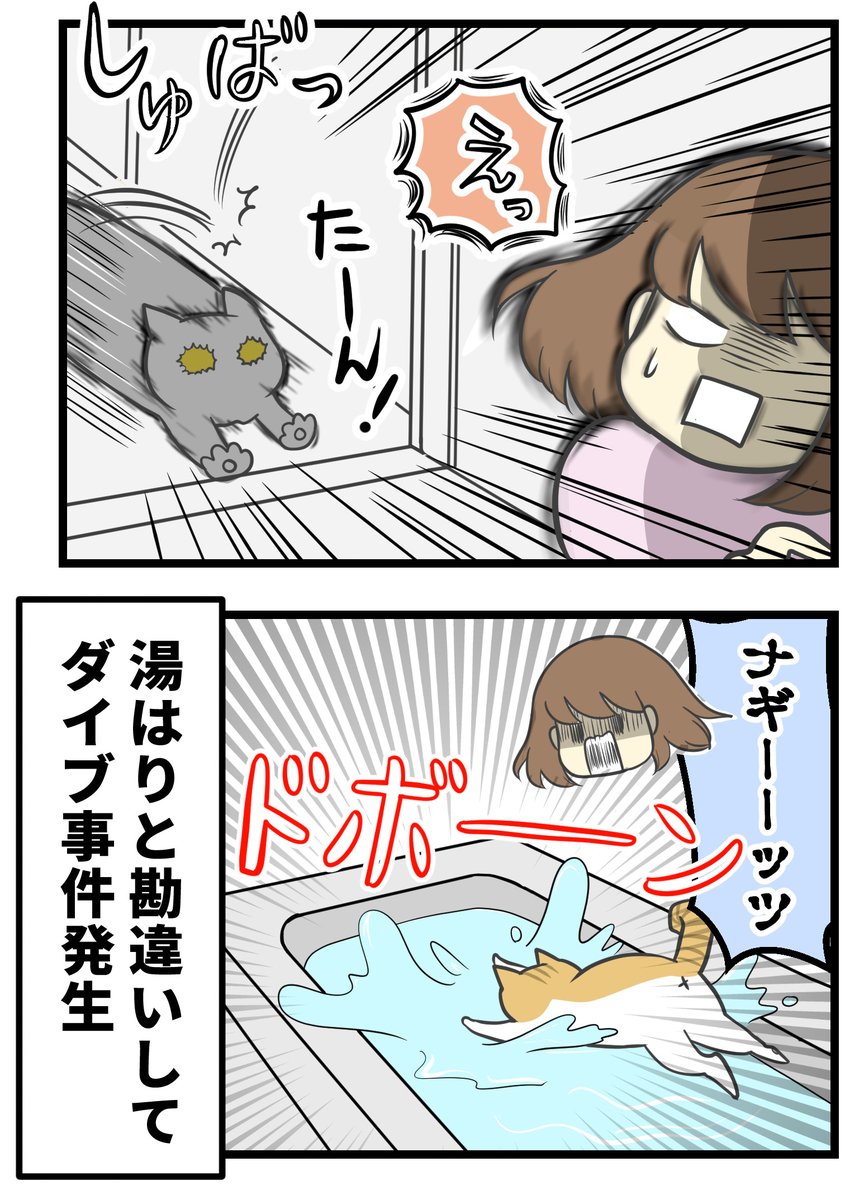(2/3) 