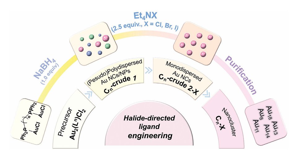 DiSun_Lab's tweet photo. Halide-Directed Ligand Engineering Enables Expedient, Controlled and Divergent Syntheses of Diphosphine-Protected Au Nanoclusters, recently published in 'Small' @wileyinresearch.Congratulation to the team, @DiSun83.
https://t.co/wudy1l20Wo https://t.co/VvVpjAGac2