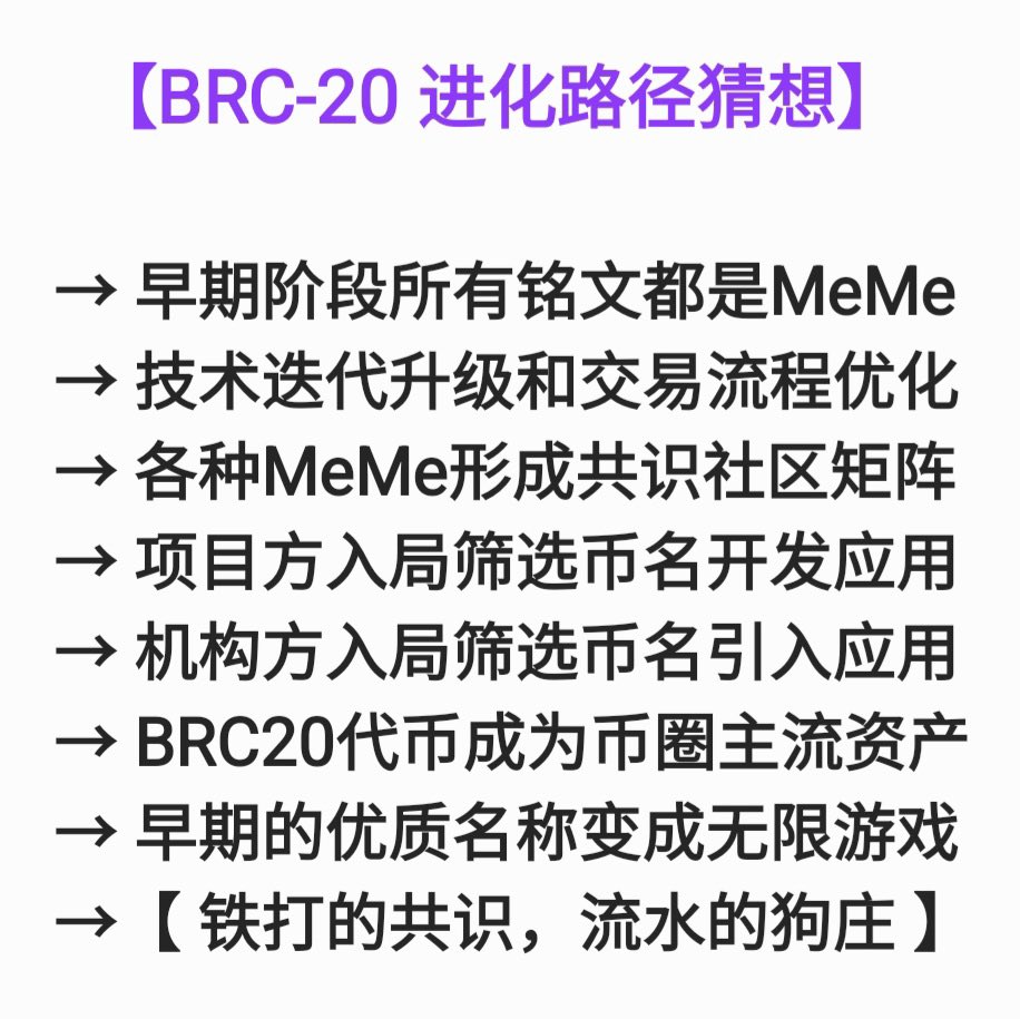 🚀【BRC-20进化猜想】从Meme到主流资产的跃迁!
1️⃣ 野蛮生长：全员Meme狂欢
2️⃣ 技术迭代+交易优化
3️⃣ 共识社区矩阵崛起🌐  
4️⃣ 项目方入局→开发落地应用
5️⃣ 机构进场→生态加速扩张
6️⃣ BRC20终成主流资产💎
✨ 早期优质铭文→“无限游戏”  
🔥 铁打的共识，流水的狗庄!
#BRC20 #加密未来 #区块链革命