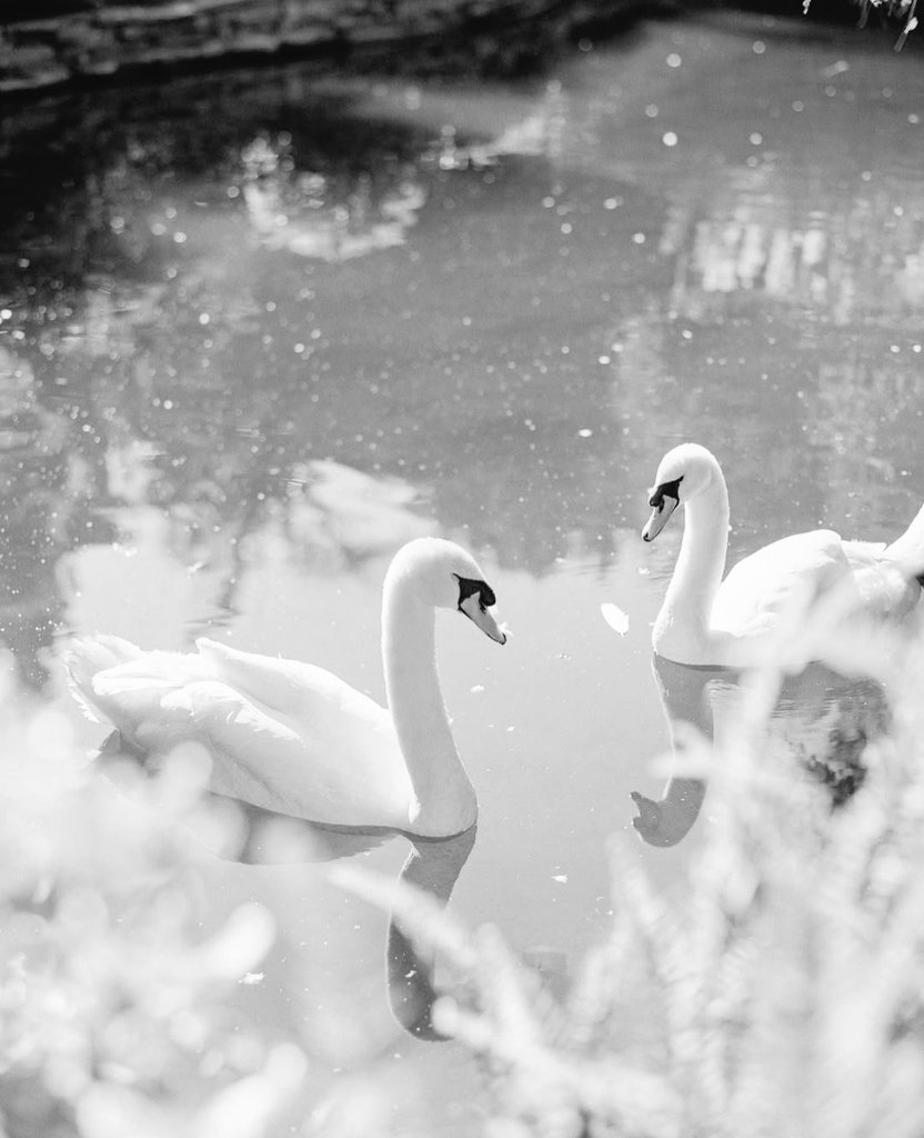 ۵ Mathi (@kotcides) / Posts / X