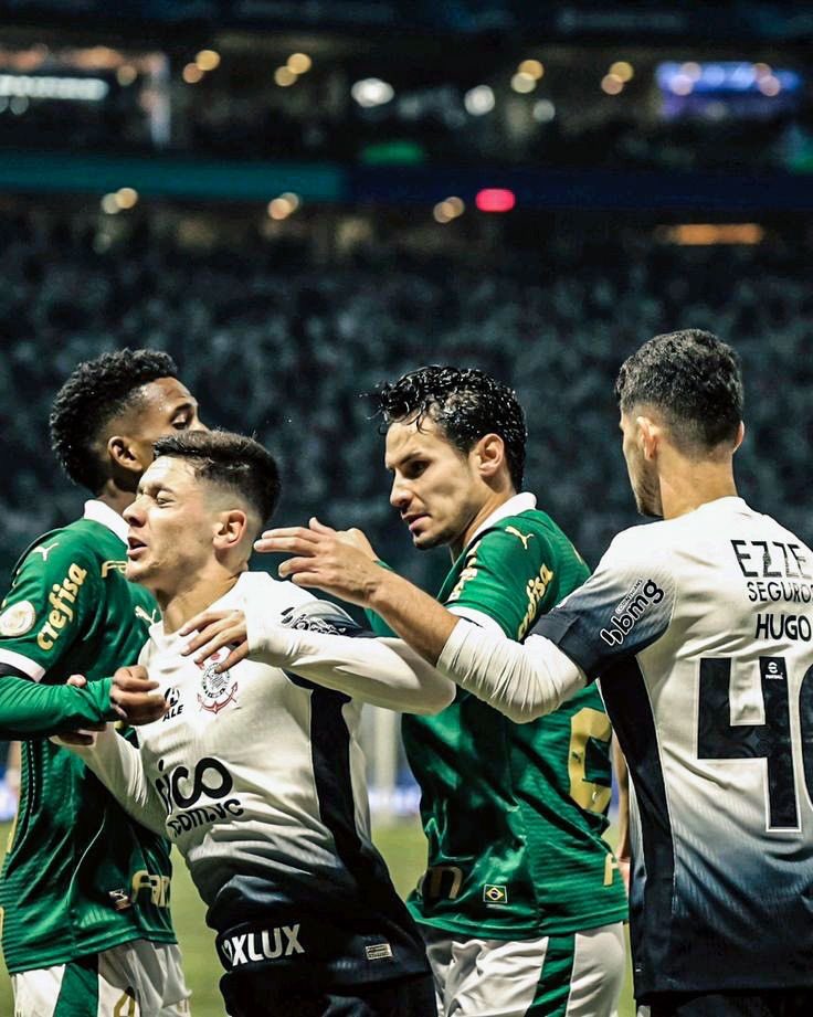 HOJE É DIA DE PALMEIRAS! VAMOS JUNTOS GANHAR MAIS UM DERBY! 💚🤍
