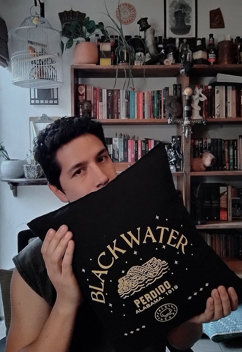 Leonmartinezlet's tweet image. Aprovechando las totebags para fines más confortables ✌🏼✨ #Blackwater #MichaelMcDowell #Literatura #Libros #Lectura #Leer  #Recomendaciones #Merch #ToteBag
