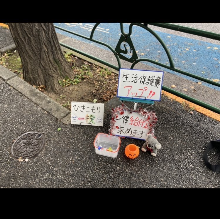 はるちゃん (@harucafe888) / Posts / X