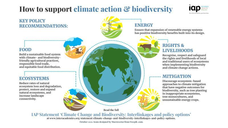 UNBiodiversity's tweet photo. #ClimateAction and enhancing biodiversity go hand in hand. 🤝🌍

Here are 5 key policy recommendations that can simultaneously improve biodiversity and mitigate the effects of climate change.

via The InterAcademy Partnership (IAP) https://t.co/wewSUjijbe