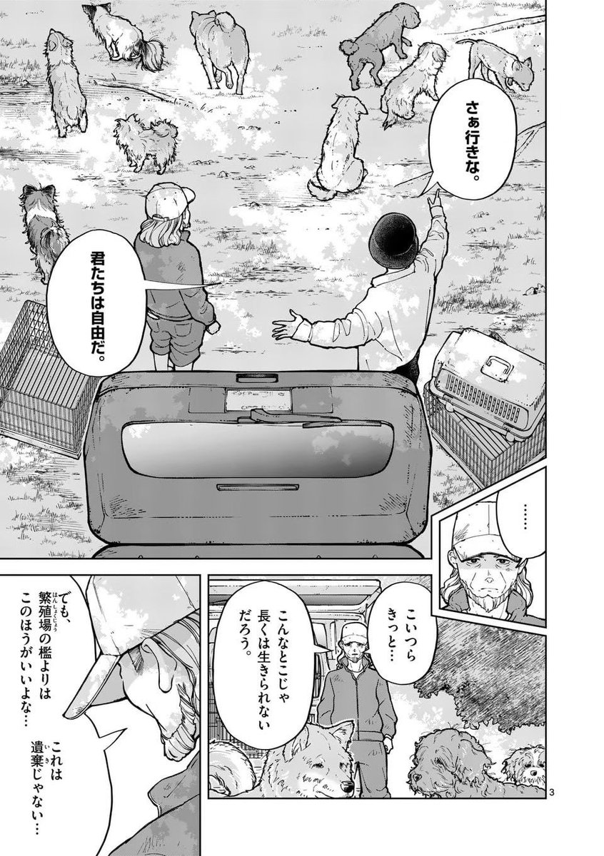 ゴミ屋敷でネコを飼おうとしてる人(1/5) 