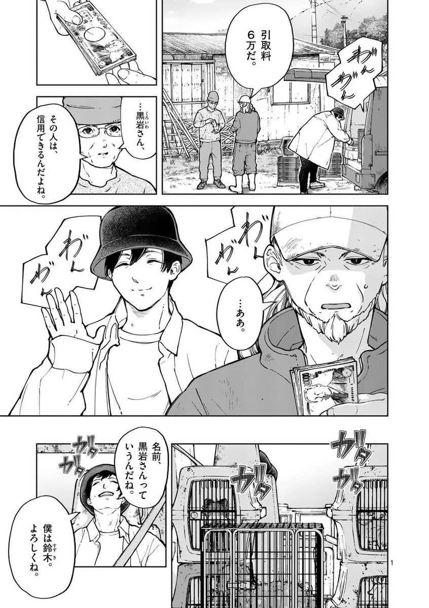 ゴミ屋敷でネコを飼おうとしてる人(1/5) 