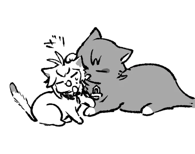🐈‍⬛ 