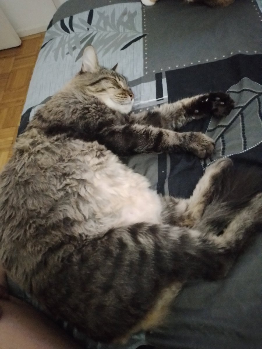 Así duerme alguien a quien le importa nada el precio del urinary.