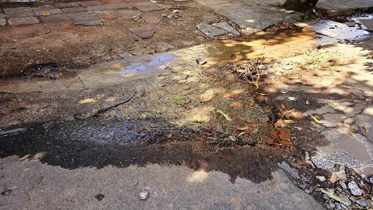 Dch0328's tweet photo. @EssapSA Mcal. Estigarribia entre 33 orientales y José Rodó. Literalmente c/ 3meses se rompe en el mismo lugar. La última vez fue oct 2024, el 18 de dic q vinieron a "arreglar". Y ahora nuevamente pasaron dos semanas. La factura viene cada vez más elevado, tendría algo q ver con esto? https://t.co/uRRcWBr3Wv