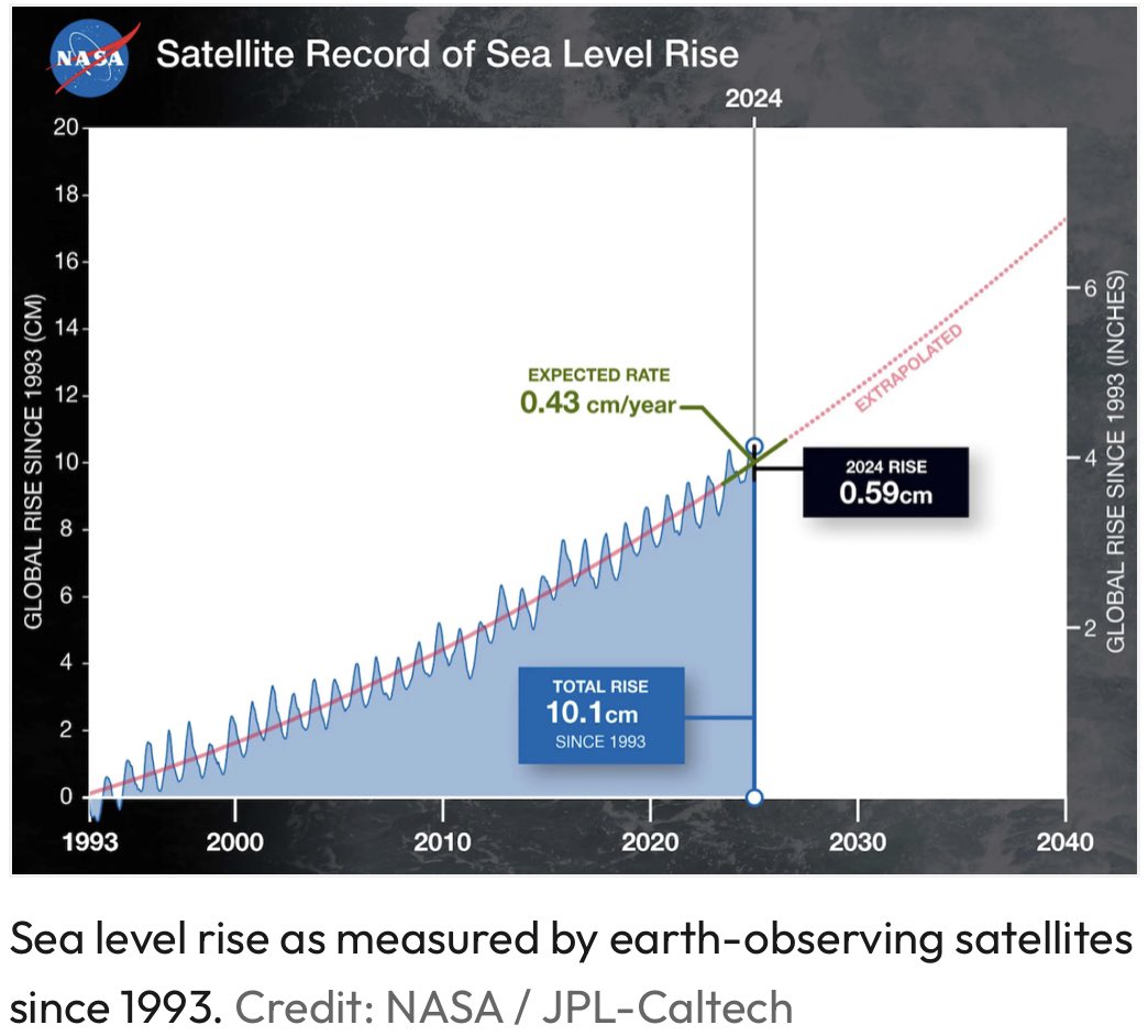 Team Human Alliance tweet media