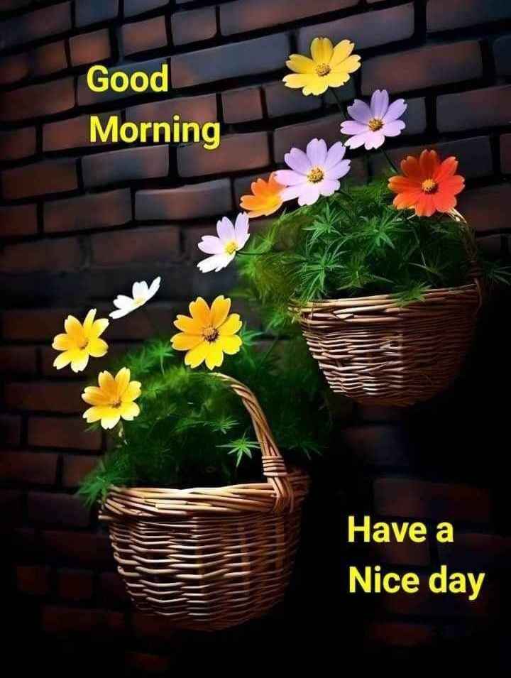 MAHAVEER KEER @8 tweet media