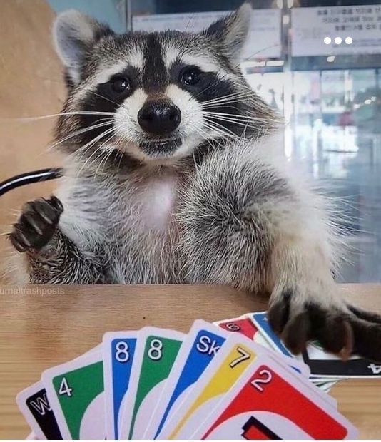 out of context raccoons (@contextraccoons) on Twitter photo 