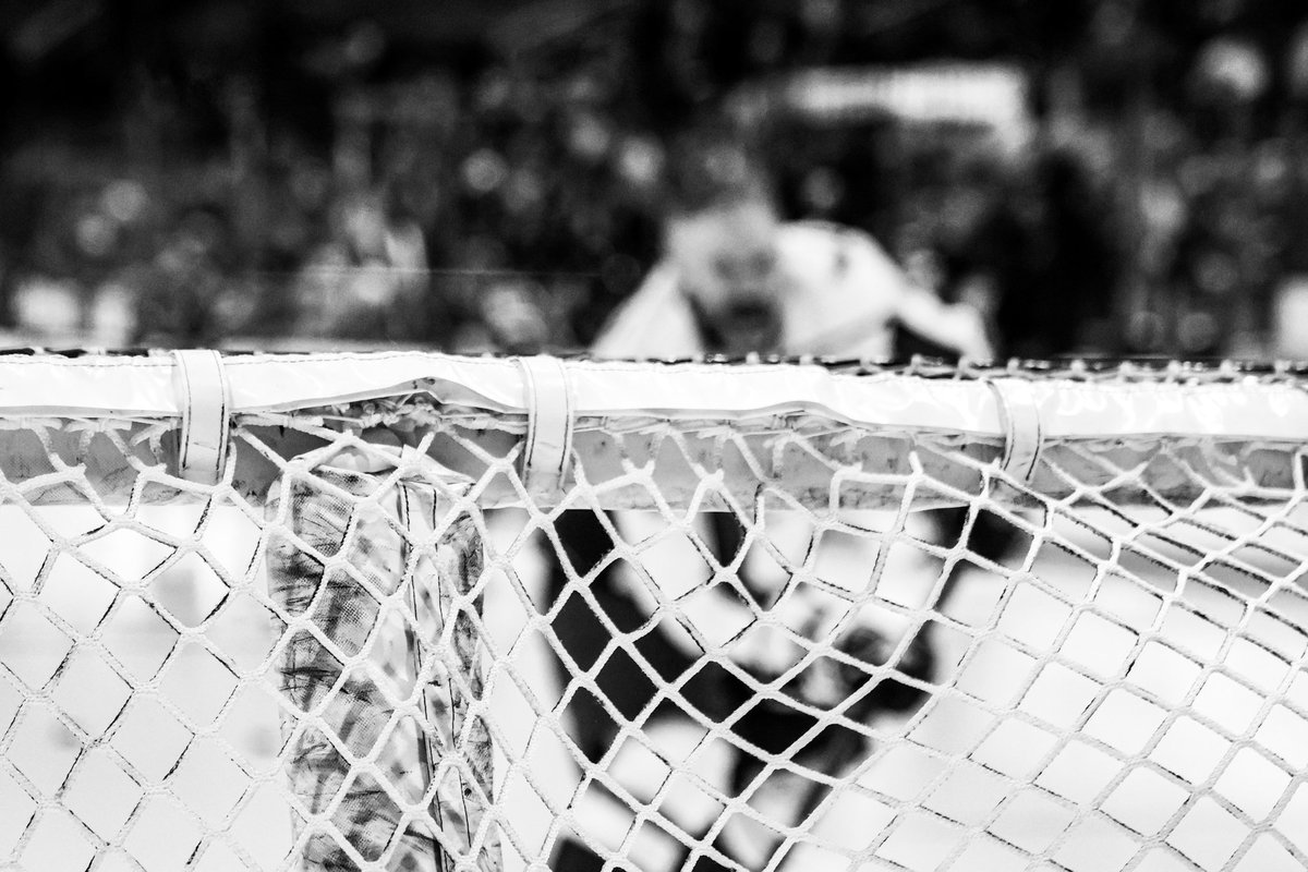 Curt Silver Media 📸 💻 tweet media