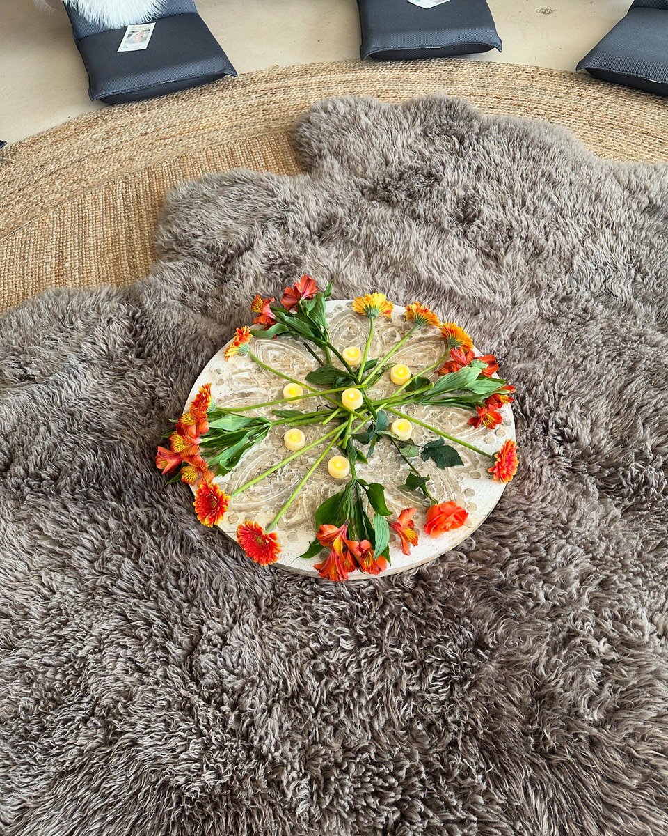 HealingTrilogy's tweet image. Beautiful day at Satara Wellness Center #burbank #kimberlymeredith #mediumshipreadings #soulfrequency #group #booksigning #awakeningtothefifthdimension #author  #SaturdayVibes 💫✨💖