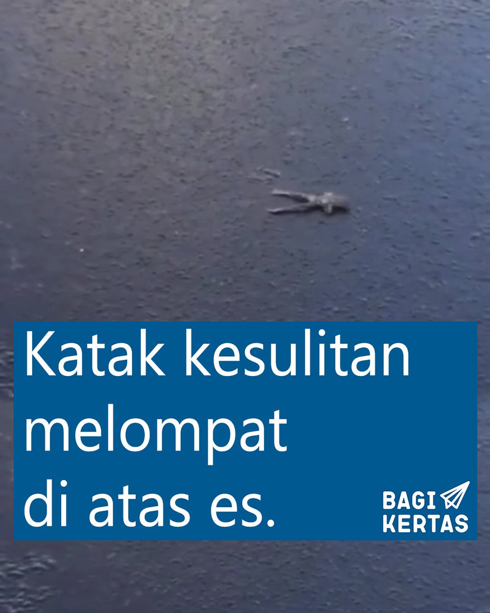 Bagi Kertas tweet media