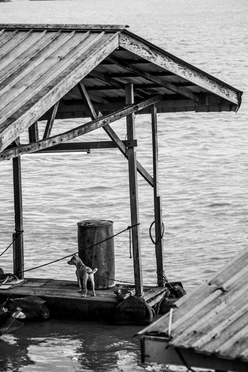 fairuskhafiz's tweet photo. Title: Random
Location: Kota Bahru, Kelantan
Date of photo: XX.X.2025
Camera/Lens: Sony ILCE-7M2/FE 28-70mm f/3.5-5.6 OS
#fkphotography #fk #fairuskhafiz #photo #sonyalpha #sony #travel #pinterest #landscape #kelantan #kotabahru #town #city #asia #photo #malaysia #nft https://t.co/g0wZlb1aof