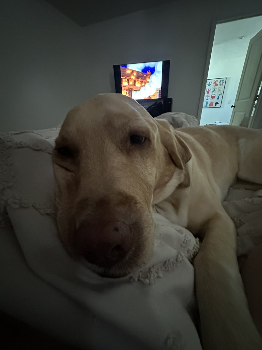 RieslingPapi™️ (@rieslingpapi) on Twitter photo 