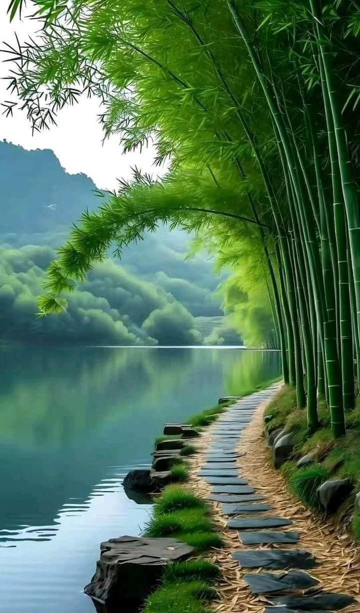 【汉宫春】

疏钟幽谷。看云出寸塔。泼茶敲竹。
花若解语能言。可伴江湖。
登高临远。烟波兴。鹭下滩涂。
试春裳。轻衫叠雪。寒似破腊春初。

莫笑题诗满纸。壶觞平生友。傍枕抛书。
冷颸入袂听雨。美酒相濡。
蓬窗得味。落魄词、不肯流俗。
忘情处。长歌掩卷。纵啸万木号呼。