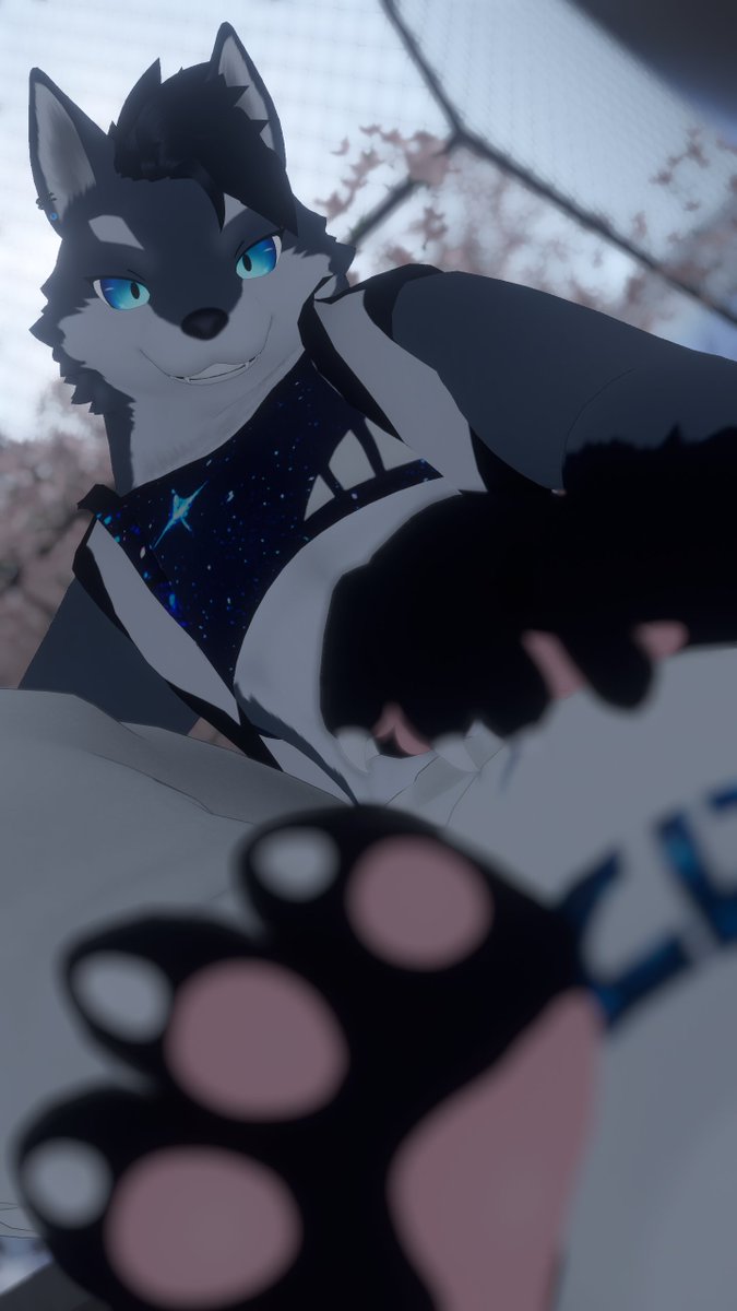 Cho_co_co_mint's tweet photo. 【固定用うちの子】
🐺蒼ルル（ルル改変：代理）
🐱オペラ（OCその①）
🐺アクロ（OCその②） https://t.co/Jaz6w4BOcc