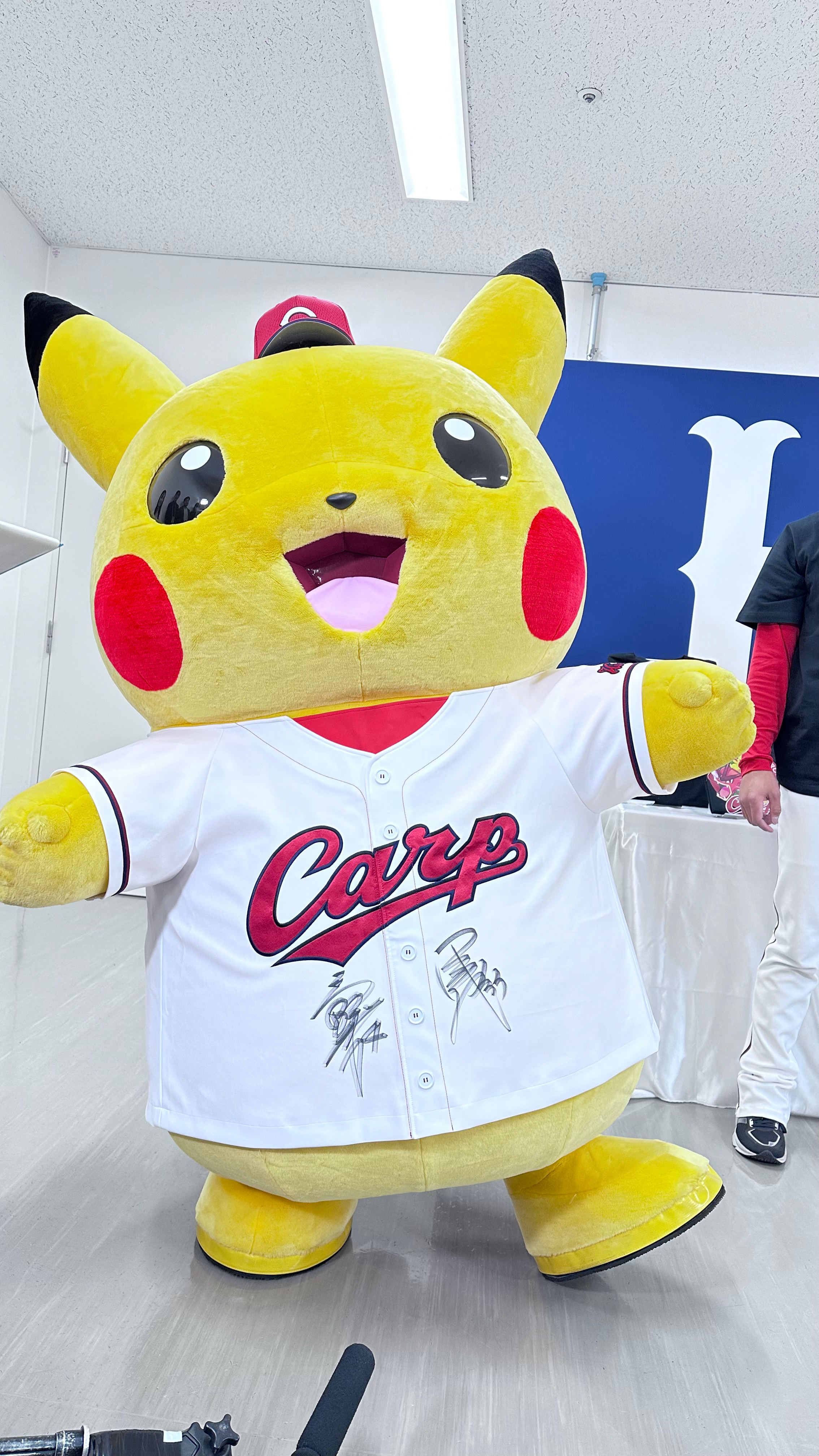 ポケモンセンターヒロシマ ぬいぐるみ 5種セット (ポケモン ポケモンセンターヒロシマ ぬいぐるみ 5種セット (ポケモン