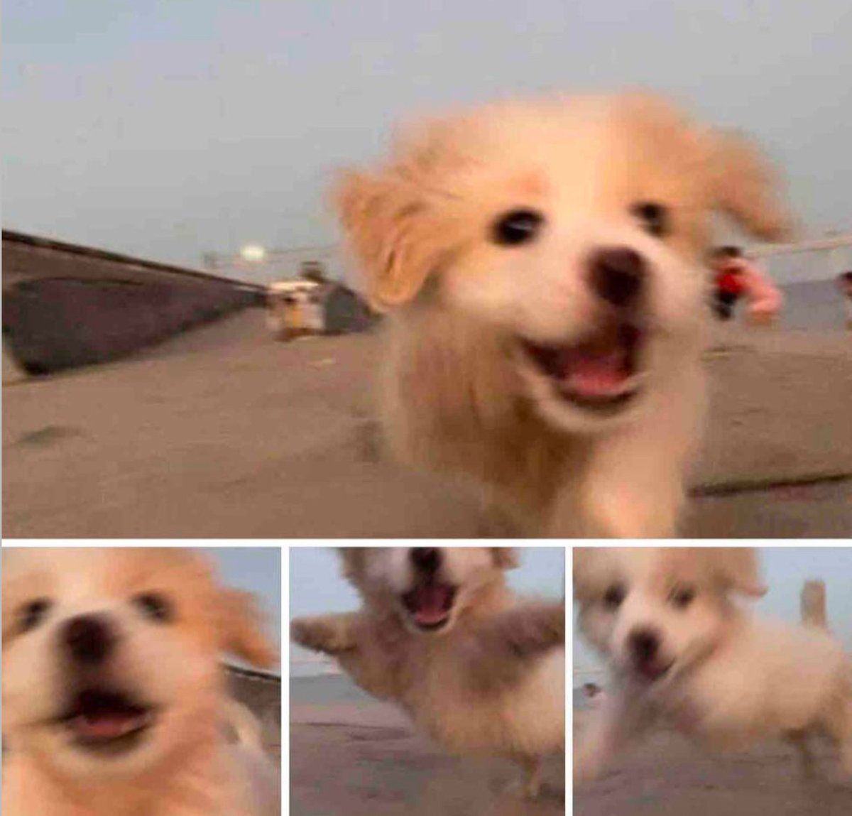 feliiii
