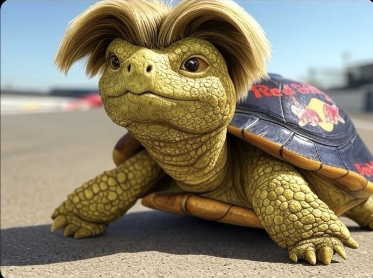 JAJAJAJA LA TORTUGA SLOWSON