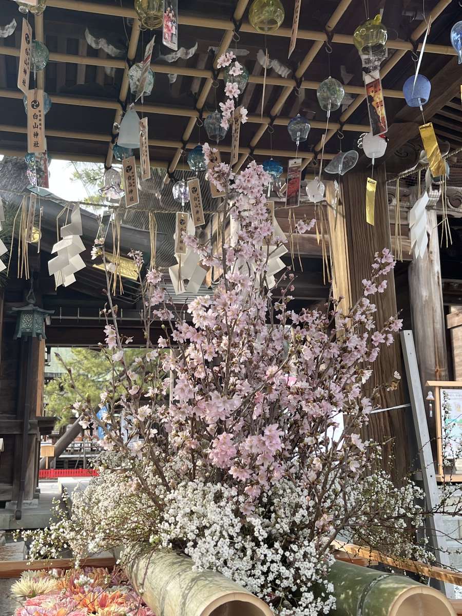 Violetai5's tweet photo. 真冬に逆戻りの寒さ

『暑さ寒さも彼岸まで』と

あと少しの我慢かなって

昨日、観劇の帰りに白山神社へ

境内には白梅が咲き誇っていました

春の足跡は確実に

休日は緩く宅トレしてEAAも補給して

今宵の酒の肴は

生タコのカルパッチョサラダとミ—トソースパスタね

#筋トレ女子 #お家ご飯 https://t.co/G6LThh28Ik