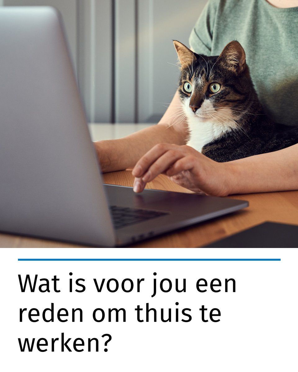 🏠Het bestaat al jaren, maar sinds de coronapandemie in 2020 is het niet meer weg te denken uit ons leven: Thuiswerken.



Vandaag vieren we de Thuiswerkdag en de eindeloze mogelijkheden die hybride werken biedt.