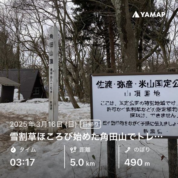 oneforall15's tweet photo. 雪割草ほころび始めた角田山でトレーニング https://t.co/JMzZari6kh #YAMAP #山歩しよう https://t.co/xxDzLuvEca