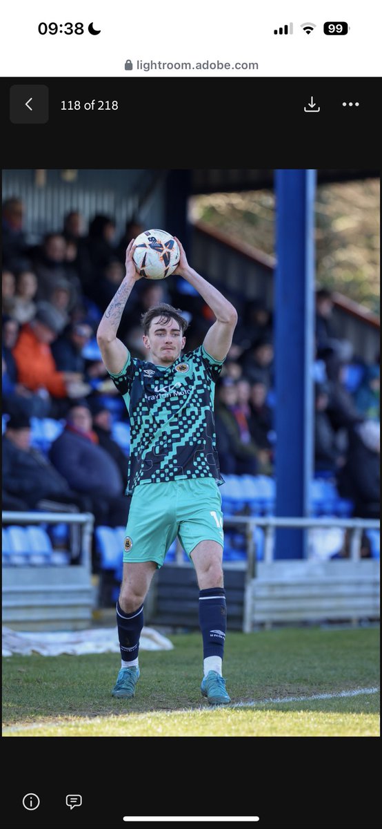 Connor Teale tweet media