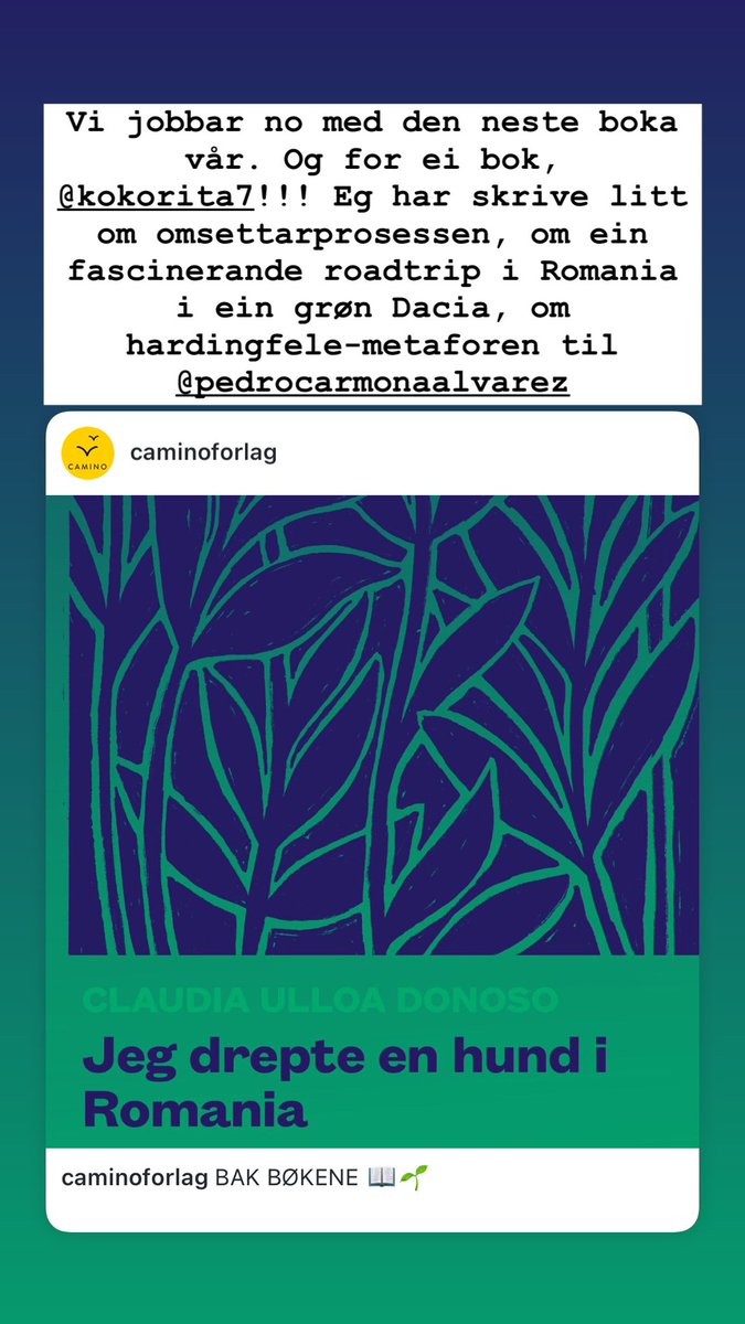 I Bak bøkene-spalten skriver vi om prosessen med å oversette og å gi ut Camino-bøkene 💛 Neste bok ut er romanen «Jeg drepte en hund i Romania» av peruanske Claudia Ulloa Donoso og oversatt av <a href="/Labente/">Bente Teigen G.</a>
Les spalten her: 
instagram.com/p/DHOGYErKHjX/…