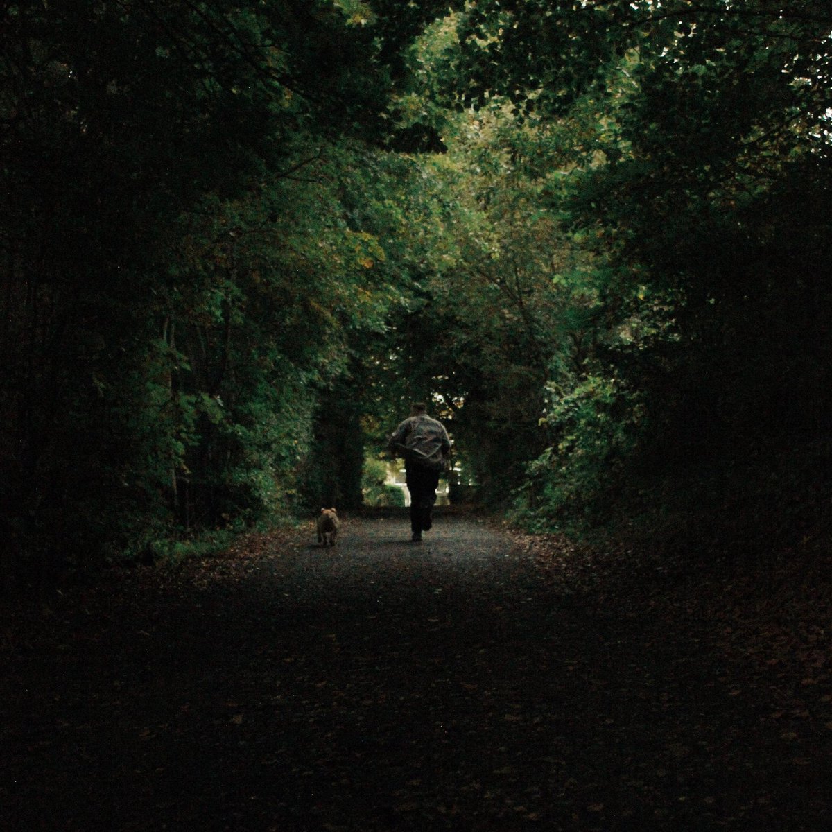 A video of me &amp; Willow is going a little viral… so I dropped a song about her! 🐶🐾 you can stream it everywhere now. It’s called Through Every Storm ☔️⛈️