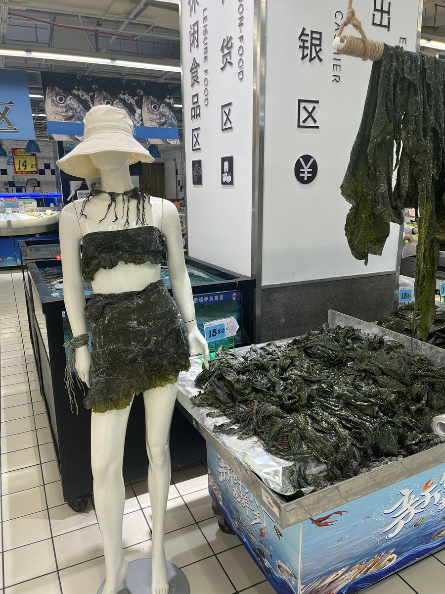 芸術的なディスプレイだった！