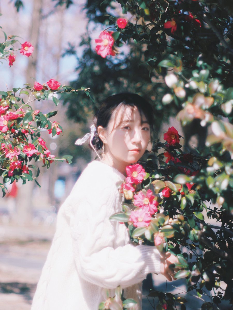 moomo_pi's tweet photo. 椿
 #momo_p https://t.co/g87R23Z1SE