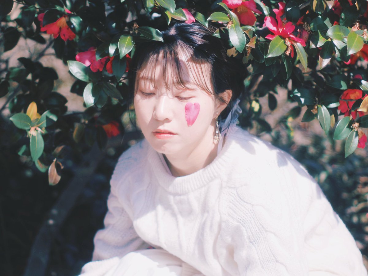 moomo_pi's tweet photo. 椿
 #momo_p https://t.co/g87R23Z1SE