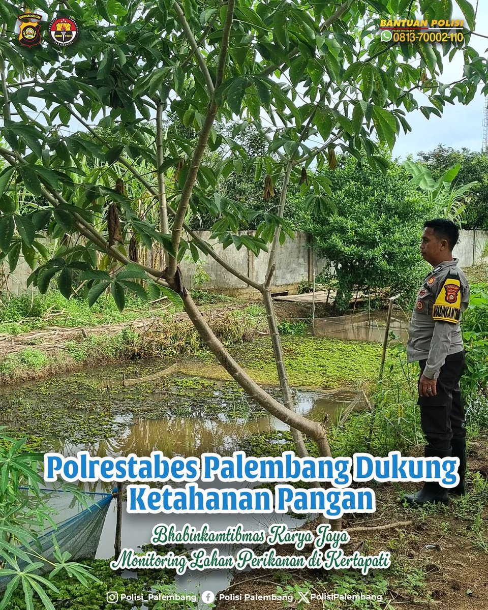 PolisiPalemban3's tweet photo. Polrestabes Palembang Dukung Ketahanan Pangan, Bhabinkamtibmas Karya Jaya Monitoring Lahan Perikanan di Kertapati

Bantuan Polisi Wa No 081370002-110       

#listyosigitprabowo #ssdm_polri #irwasda #swasembadapangan #ketahananpangan #polrimendukungketahananpangan https://t.co/oEiKfd8cyN